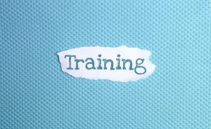 Wegwijs in complexiteit